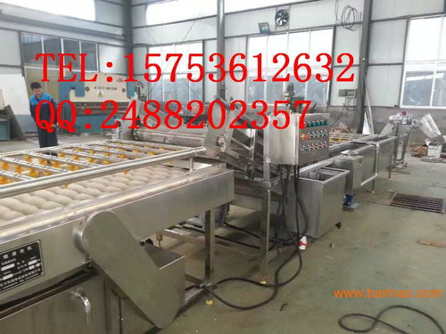 專注普通機械制造 解析胡蘿卜清洗機與食品清洗機的生產與價格